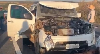 Motorista bate contra carro de boi na GO-219 e deixa animais feridos